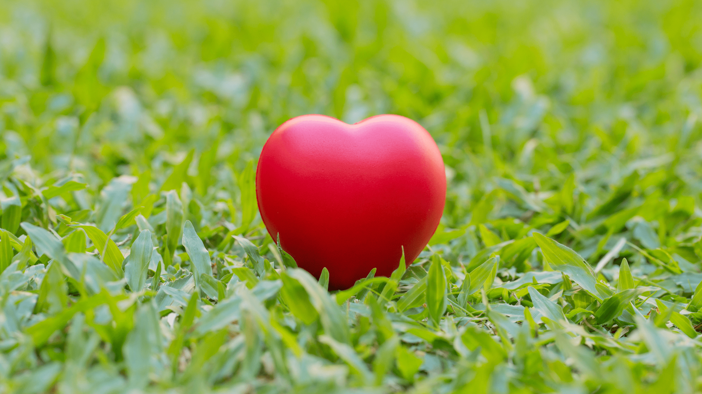 EP14 Understanding Empathy And Empaths